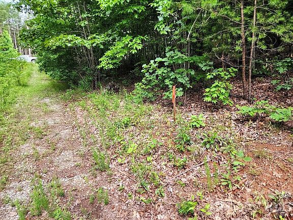 5th image of 342 N Sunny Grove Dr