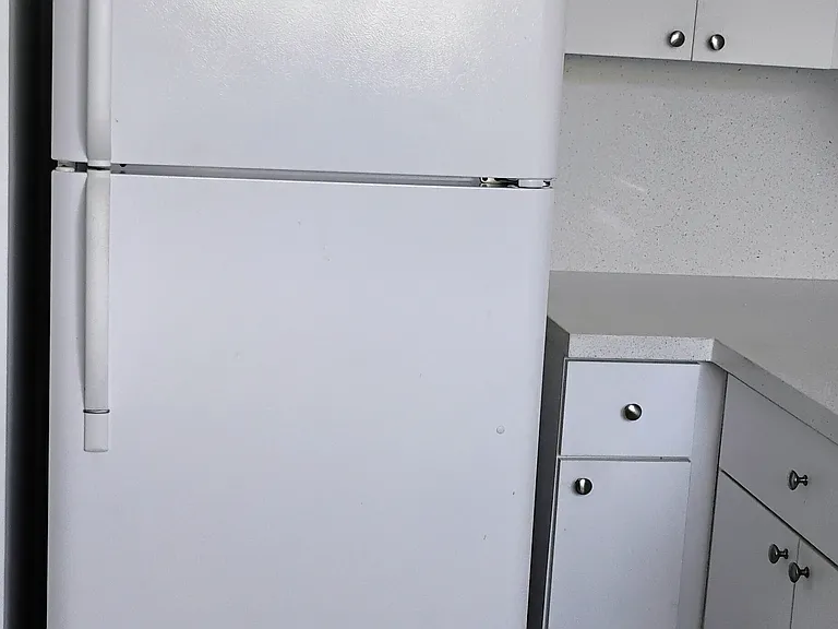 Kitchen - refrigerator view