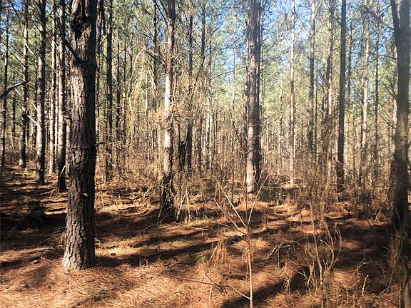 4th image of 0 Ora Rd