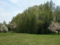 2nd image of 1005 Poquette Rd