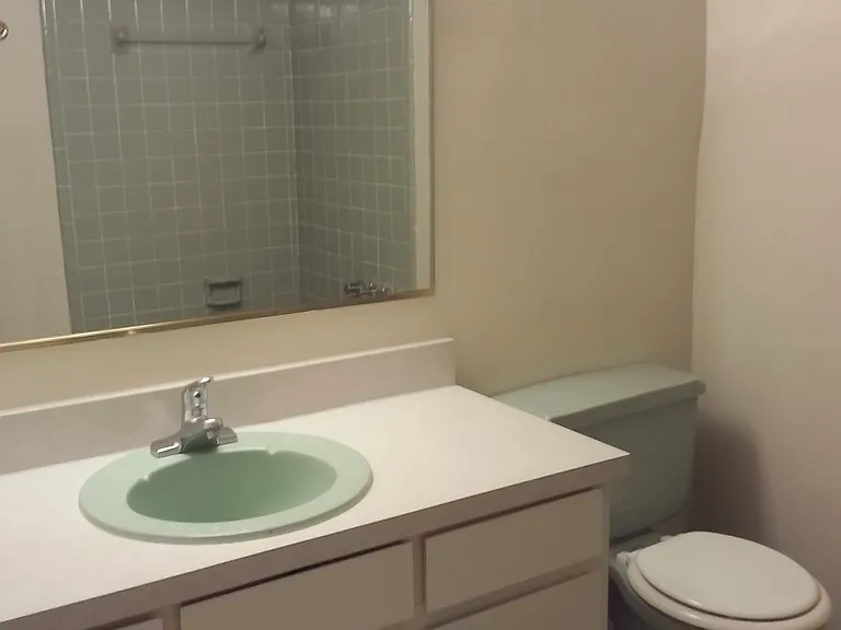 Main bathroom