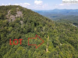 24 Nettles Ridge Rd, Banner Elk, NC 28604