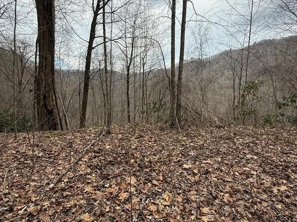 0 Starry Dr, Bryson City, NC 28713