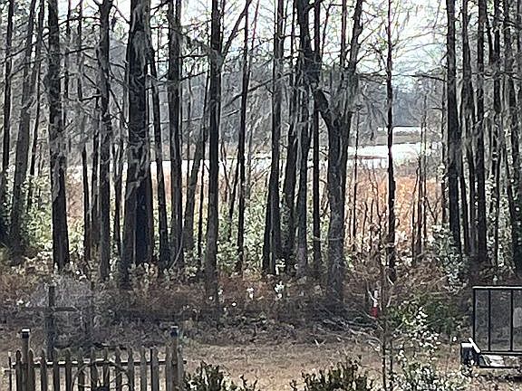 2nd image of 2283 Cove Dr