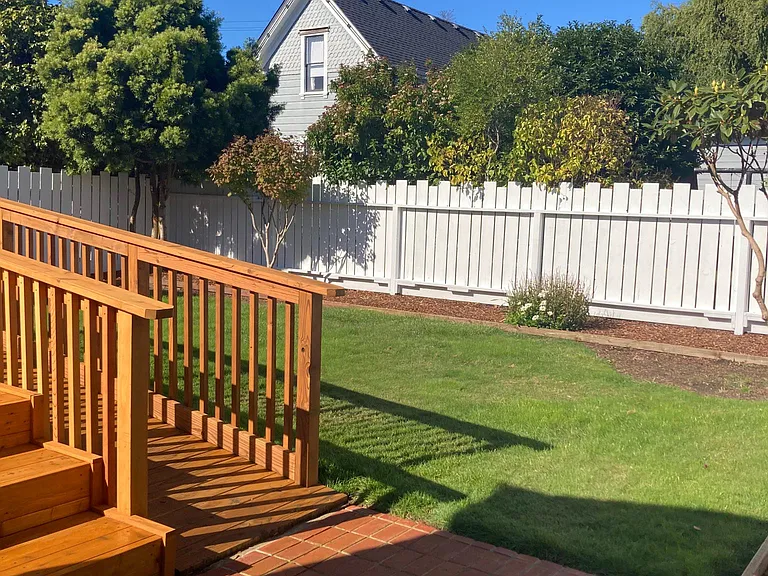 Back yard