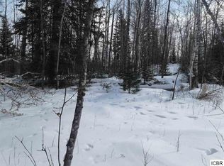 Tbd Hatch Lake Rd, Marcell, MN 56657