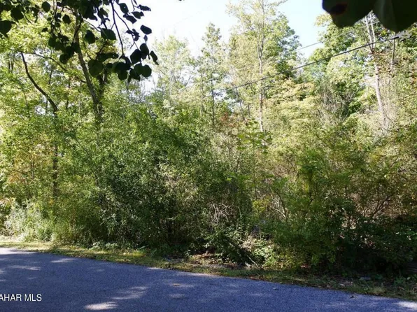 0 Oak Knoll Rd, Hollidaysburg, PA 16648
