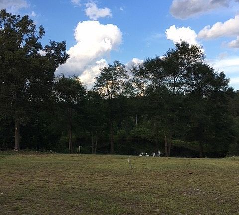 3rd image of 638 Summer Lakes Dr