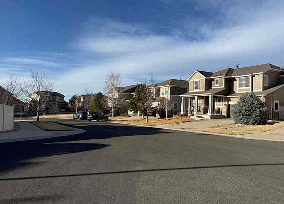 Exterior Neighborhood (street photo)