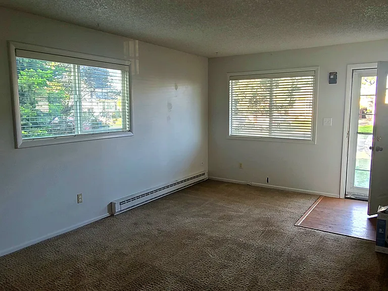 8121 Mummy Range Dr — Photo 3