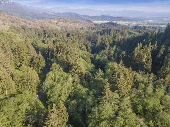 Willowbrook Dr #1500, Tillamook, OR 97141
