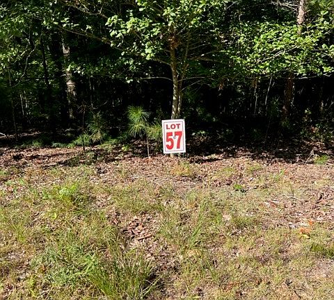 3rd image of 57 Honeysuckle Ct