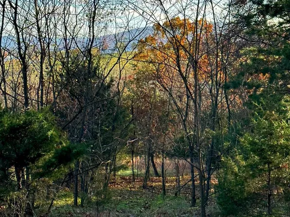 48 Squirrel Den Rd, Maysville, WV 26833