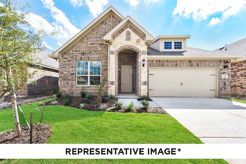 Walnut with Elevation T-S