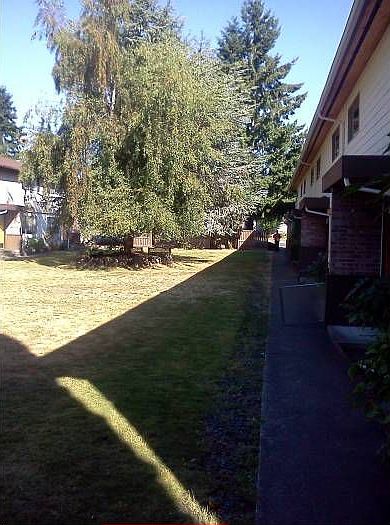 Westwood Grounds