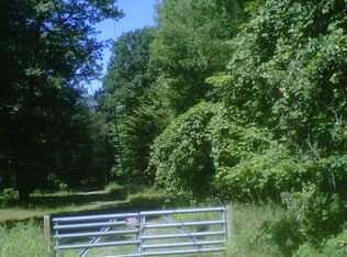 Port Austin Rd, McKinley Township, MI 48720