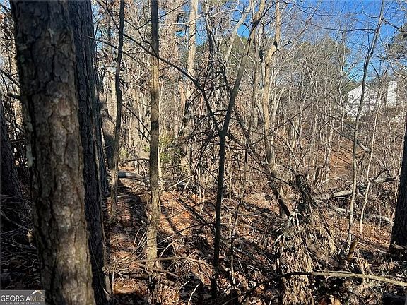 5th image of 924 Whistler Ln Lot 66