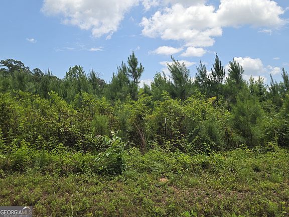 5th image of 0 Wehunt Rd