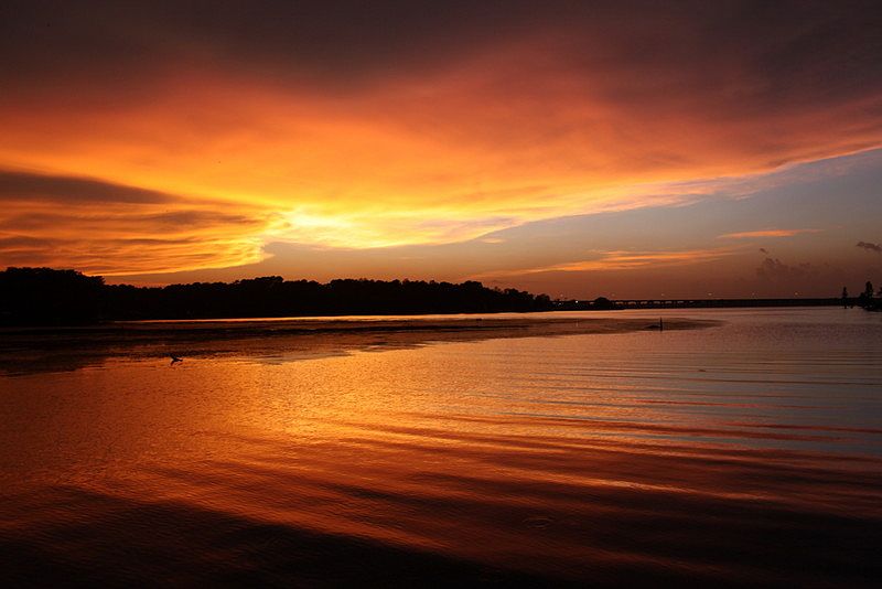 Enjoy The Sunset 