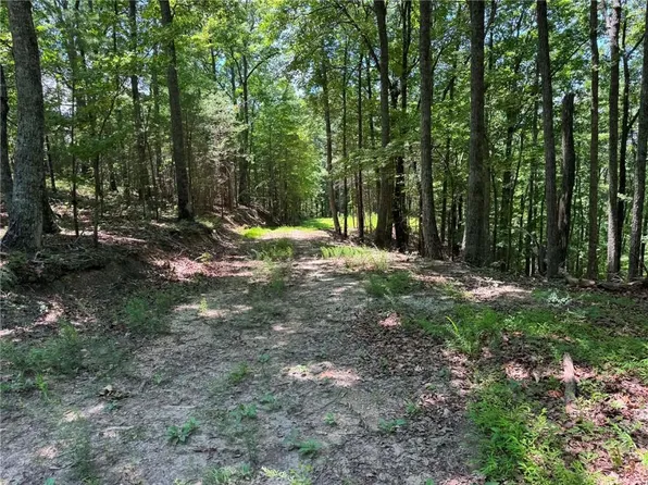 1450 Hanna Dr #1450, Ranger, GA 30734