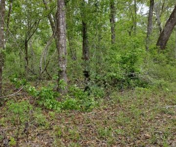 SW Southwest Palace Ter, Jasper, FL, 32052