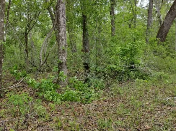 SW Southwest Palace Ter, Jasper, FL 32052