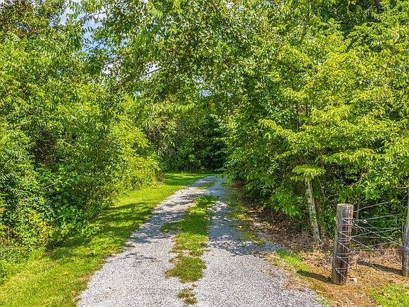 2nd image of 163 Ross Lovin Rd