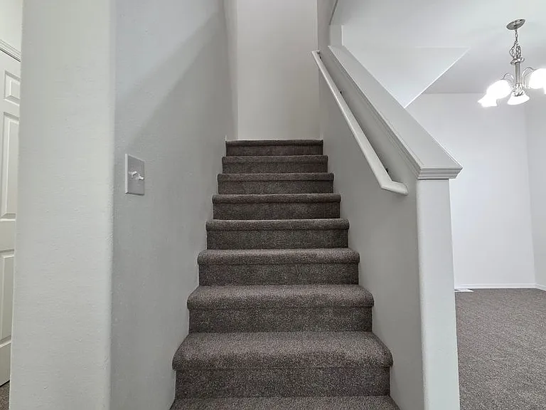 1185 Griggs St — Photo 19