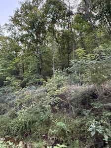 0 Fairview Rd, Madisonville, TN, 37354