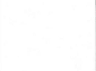 809 W Harris Rd, Arlington, TX 76001