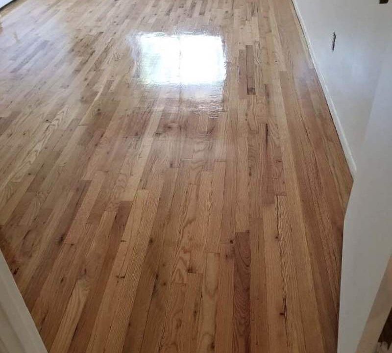 2nd image of 22-63 38th St #2