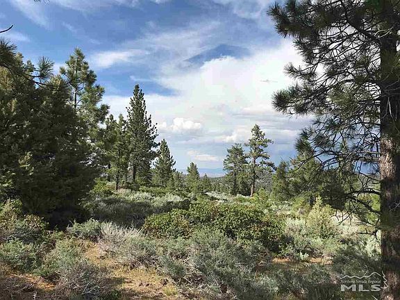 2nd image of State Highway 89
