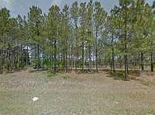 1st image of 10836 N Letterwood Way