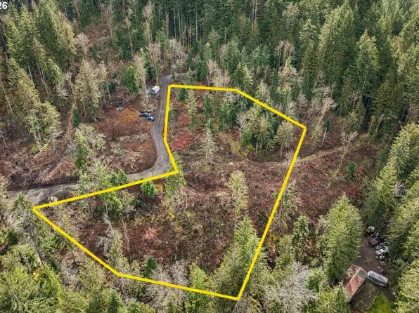 0 E Belle Lake Rd #2, Rhododendron, OR 97049