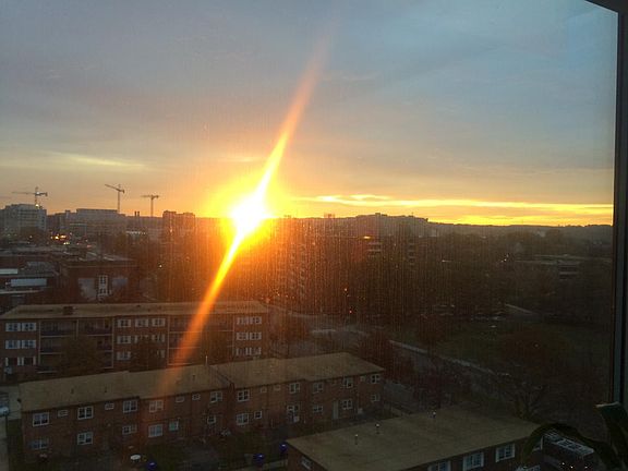 Sunrise every morning