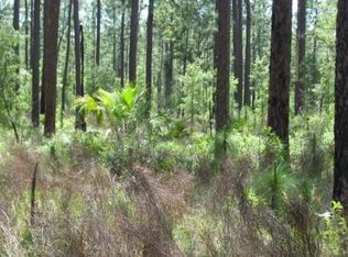 716 E Hunter Rd, Plant City, FL 33565