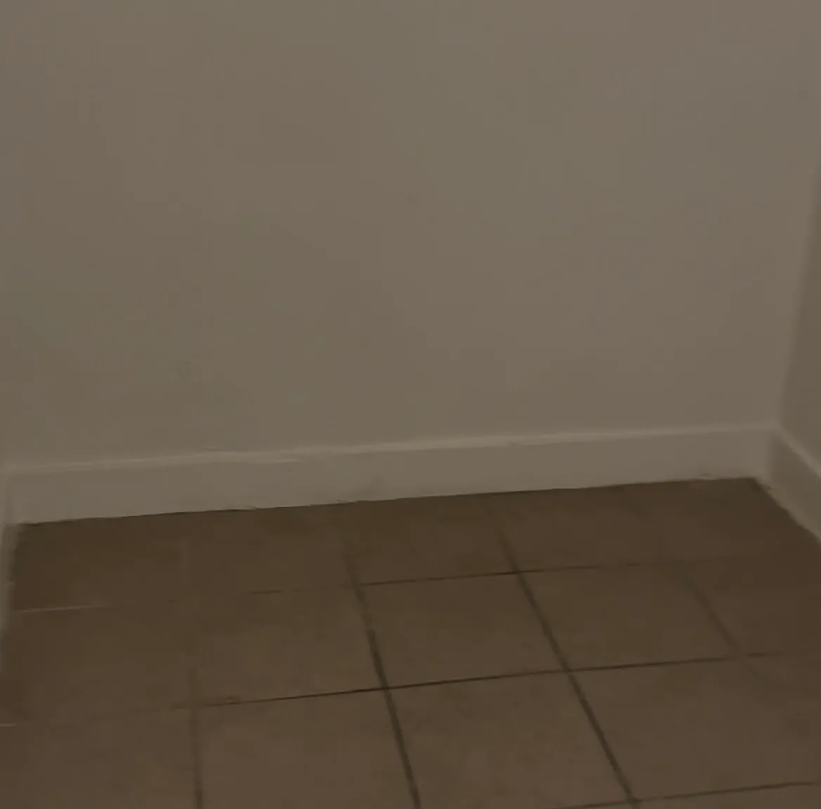 Studio, 395 sqft, $1,600 — Photo 3