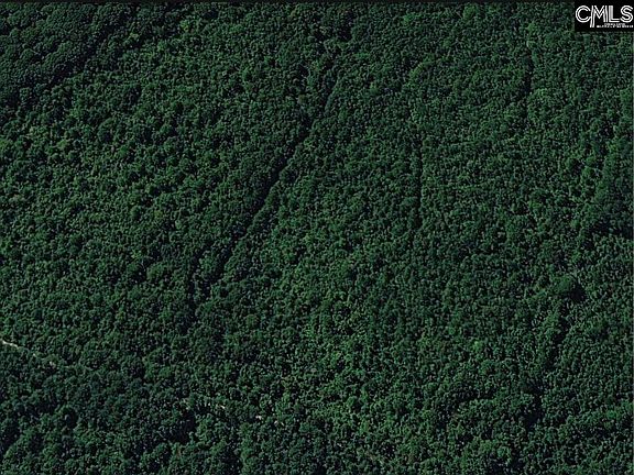 5th image of Plum Branch Rd