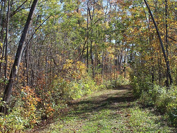 4th image of Woods Rd