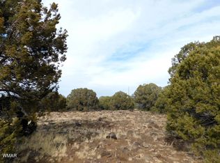 10 County Rd N #3071, Concho, AZ 85924