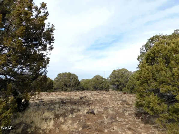 10 County Rd N #3071, Concho, AZ 85924
