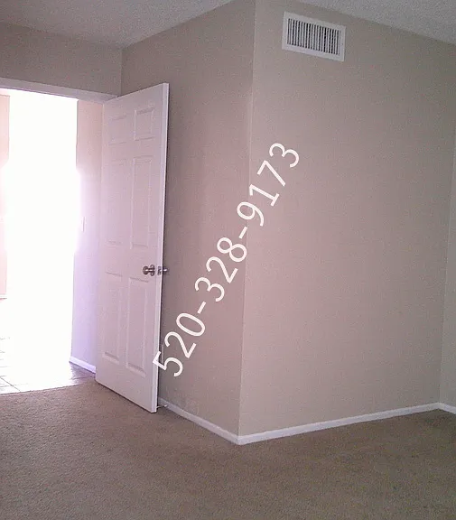 2967 W Avenida Destino — Photo 8