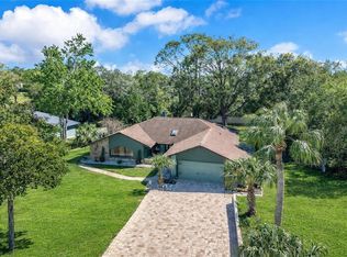 8431 Delaware Dr, Weeki Wachee, FL 34607