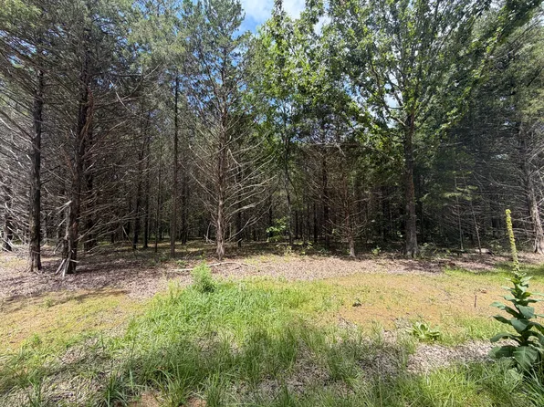 000 County Road 318 Lot 6, Sycamore, MO 65760