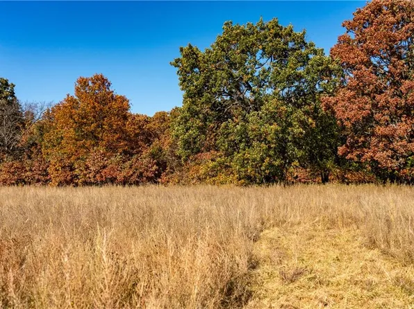 11201-11999 SE 700th Hwy, Weaubleau, MO 65774