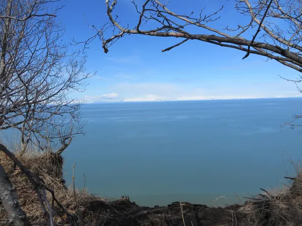 L18-B1 My Dr, Ninilchik, AK 99639