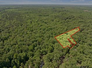 307 Fish Trl, Naples, TX 75568