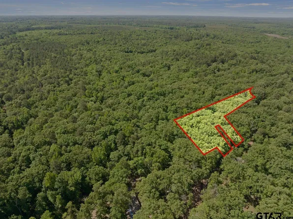 307 Fish Trl, Naples, TX 75568