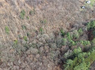 0 Haines Hollow Rd Lot 1, Great Valley, NY