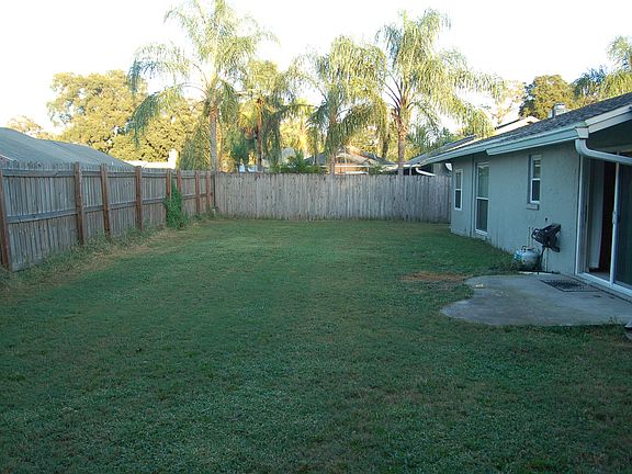 Back yard 